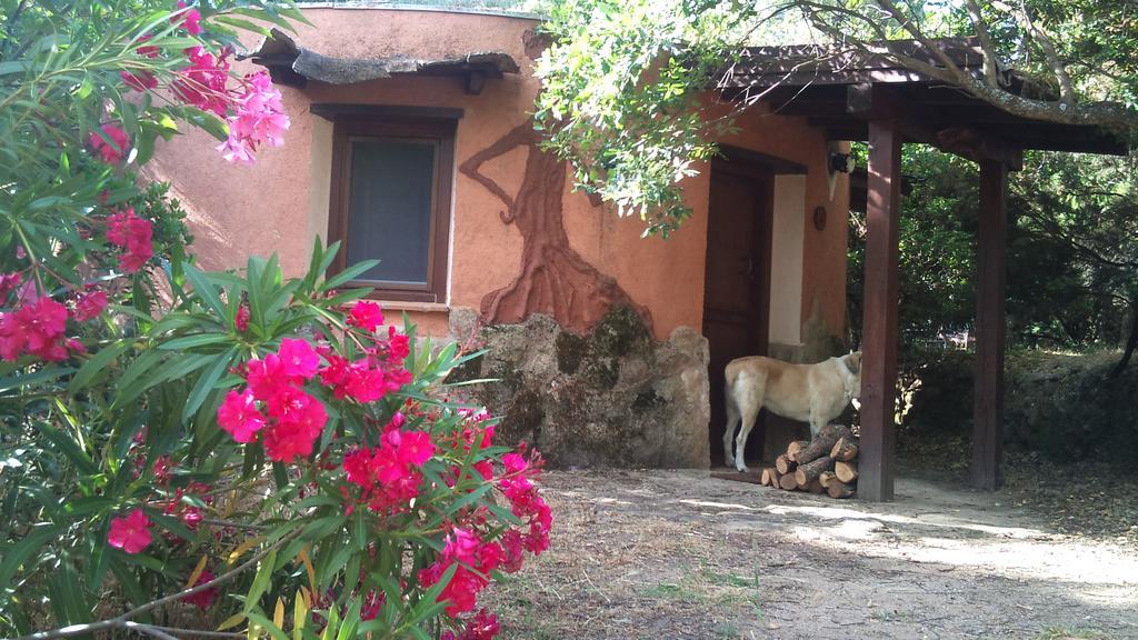 Apartamentos Rurales Ecopangea Valverde de la Vera Buitenkant foto