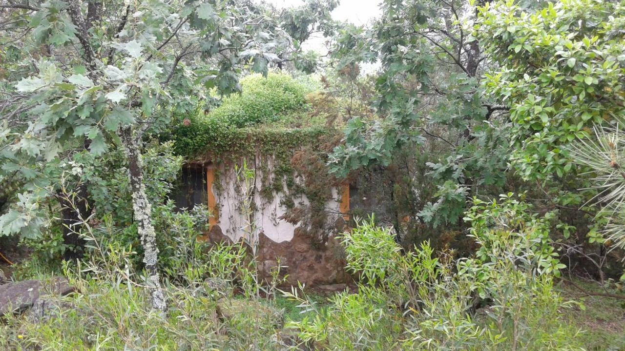 Apartamentos Rurales Ecopangea Valverde de la Vera Buitenkant foto