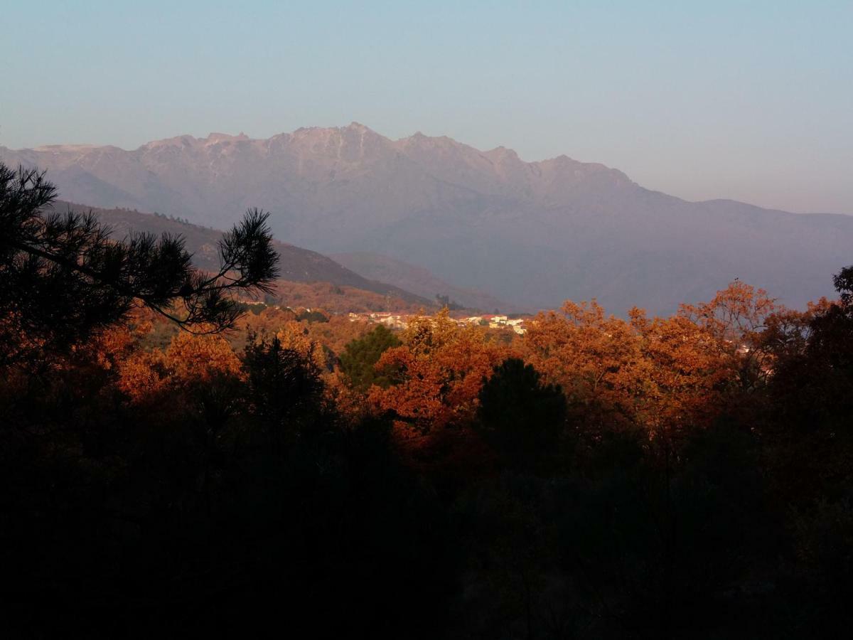 Apartamentos Rurales Ecopangea Valverde de la Vera Buitenkant foto