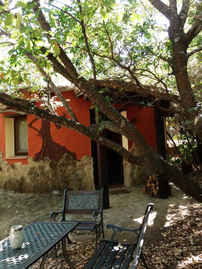 Apartamentos Rurales Ecopangea Valverde de la Vera Buitenkant foto