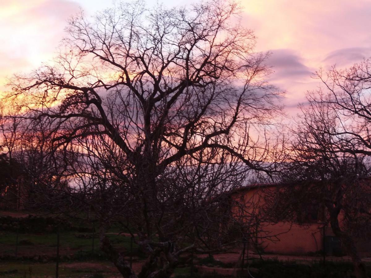 Apartamentos Rurales Ecopangea Valverde de la Vera Buitenkant foto